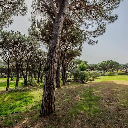 Les Pins Bleus App-02 By Interhome Sainte-Maxime
