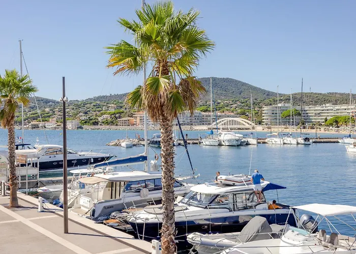 Les Pins Bleus By Interhome Sainte-Maxime
